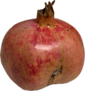 Misshapen pomegranate with blotchy surface and bruised indentation